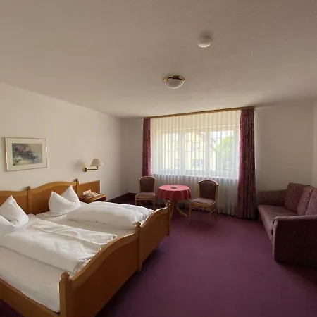 Hotel-restaurant Zum Loewen Hotell 3*