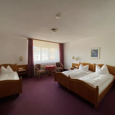 Hotel-restaurant Zum Loewen 3* Йештеттен