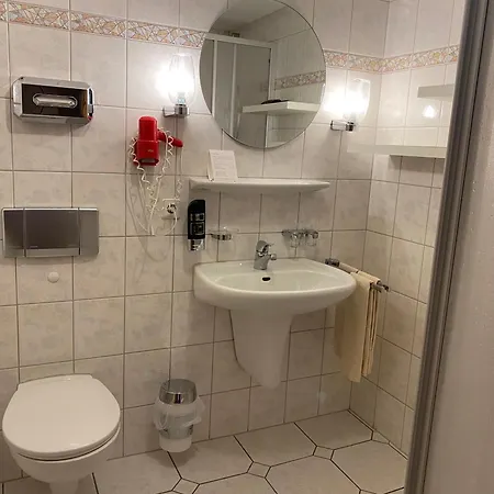 Hotel-restaurant Zum Loewen Отель 3*