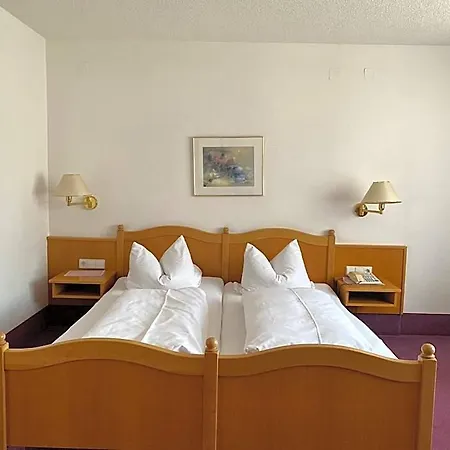 Hotel-restaurant Zum Loewen Hotel Jestetten