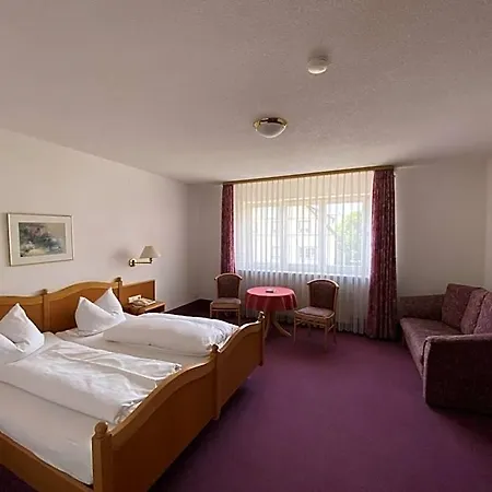 Hotel Hotel-restaurant Zum Loewen