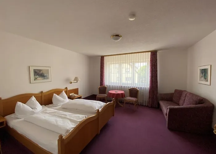 Hotel-restaurant Zum Loewen Hotel 3*