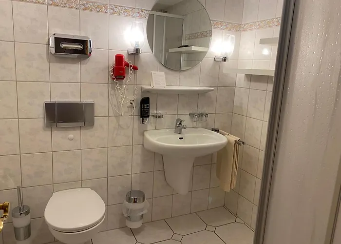 Hotel-restaurant Zum Loewen Hotel 3*