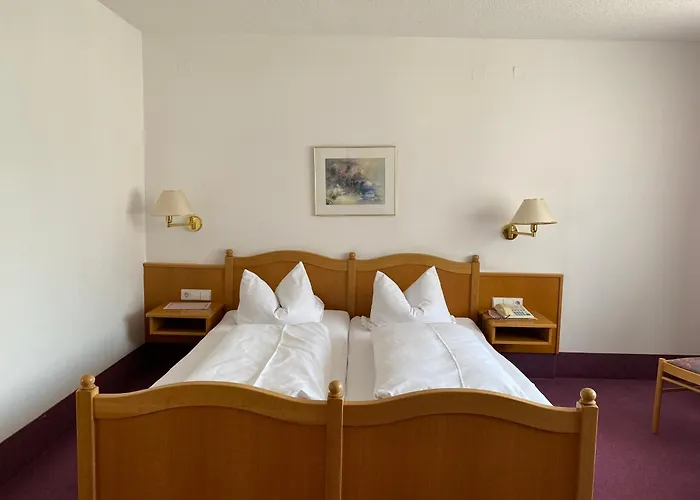 Hotel-restaurant Zum Loewen 3*